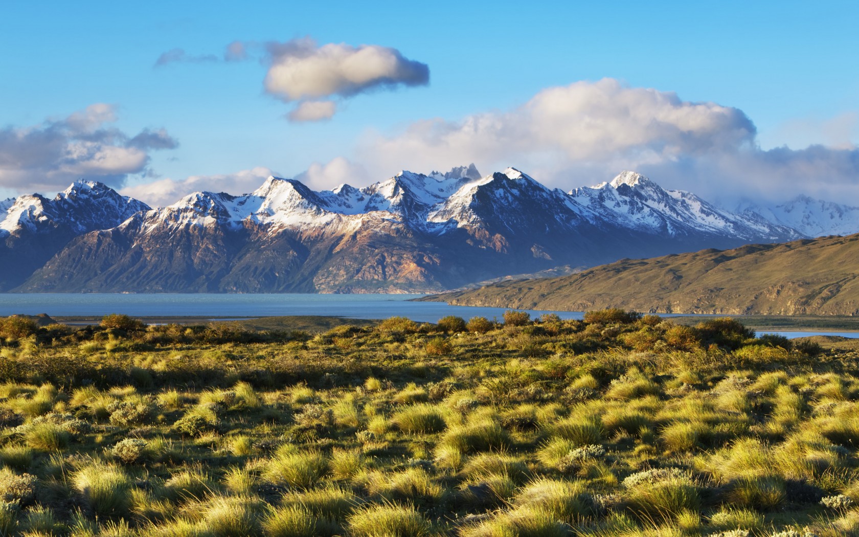 Природа Аргентины. Флора и фауна