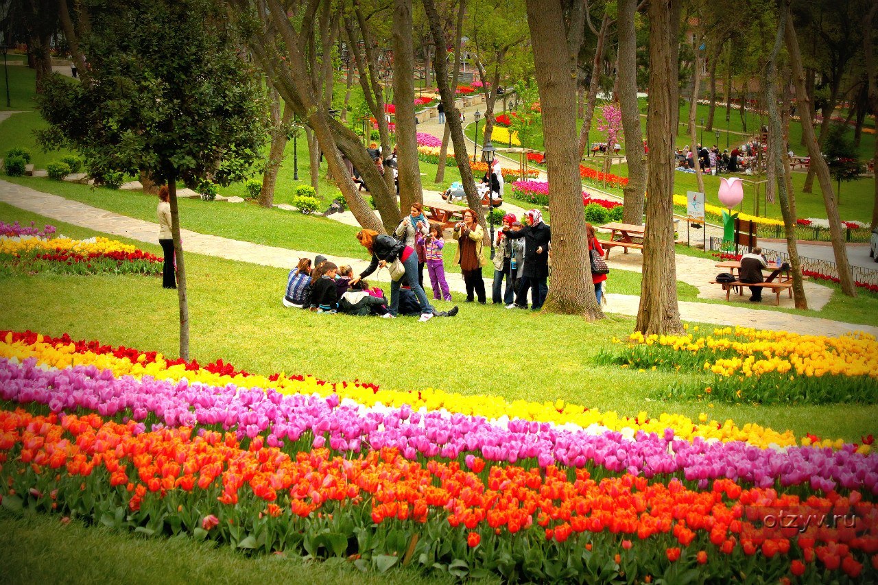 Фестиваль Тюльпанов в Стамбуле